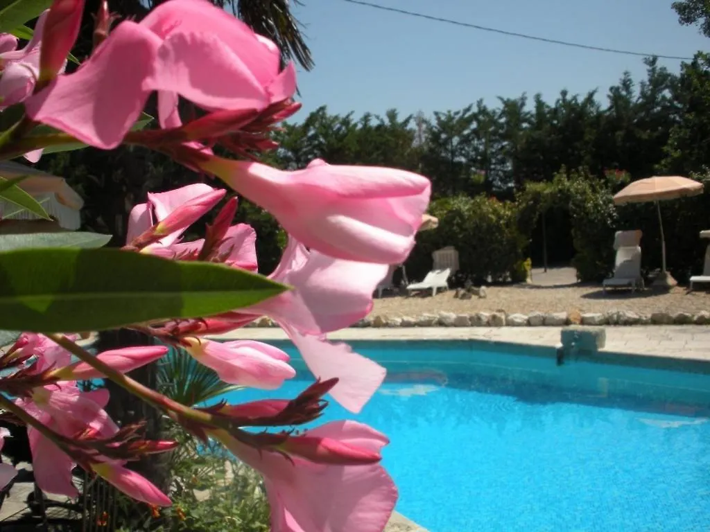 Gites Climatises Piscine Chauffee La Balancelle Saint-Rémy-de-Provence